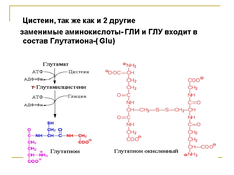 Цистеин, так же как и 2 другие     заменимые аминокислоты- ГЛИ